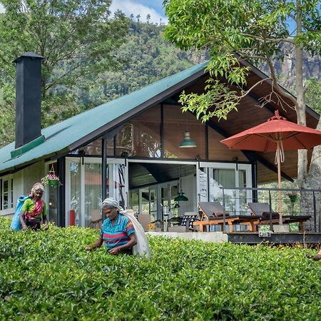 Madulkelle Tea And Eco Lodge Kandy Zewnętrze zdjęcie