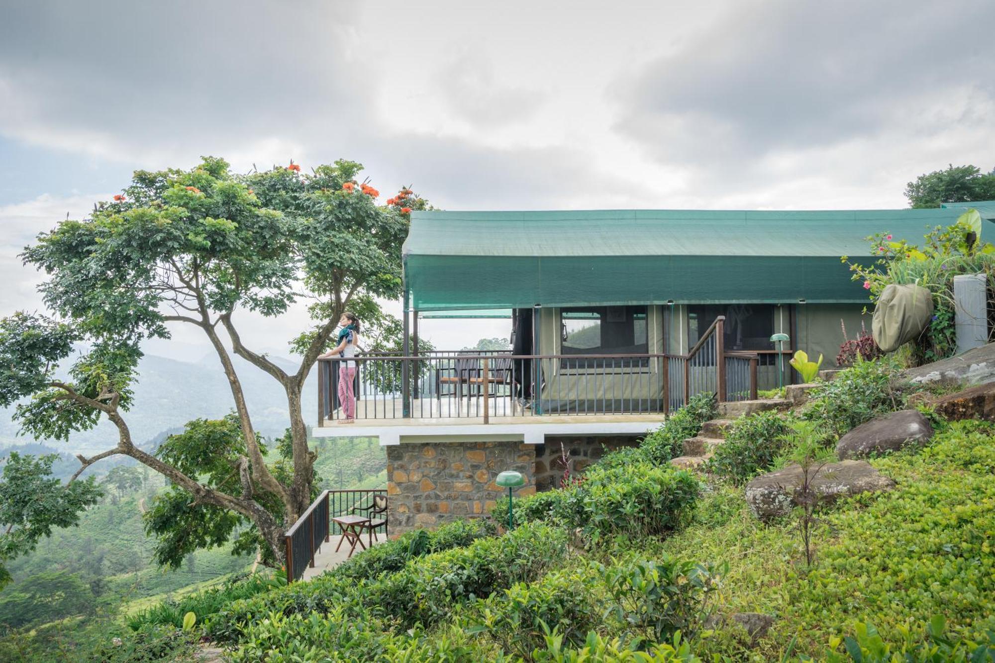 Madulkelle Tea And Eco Lodge Kandy Zewnętrze zdjęcie