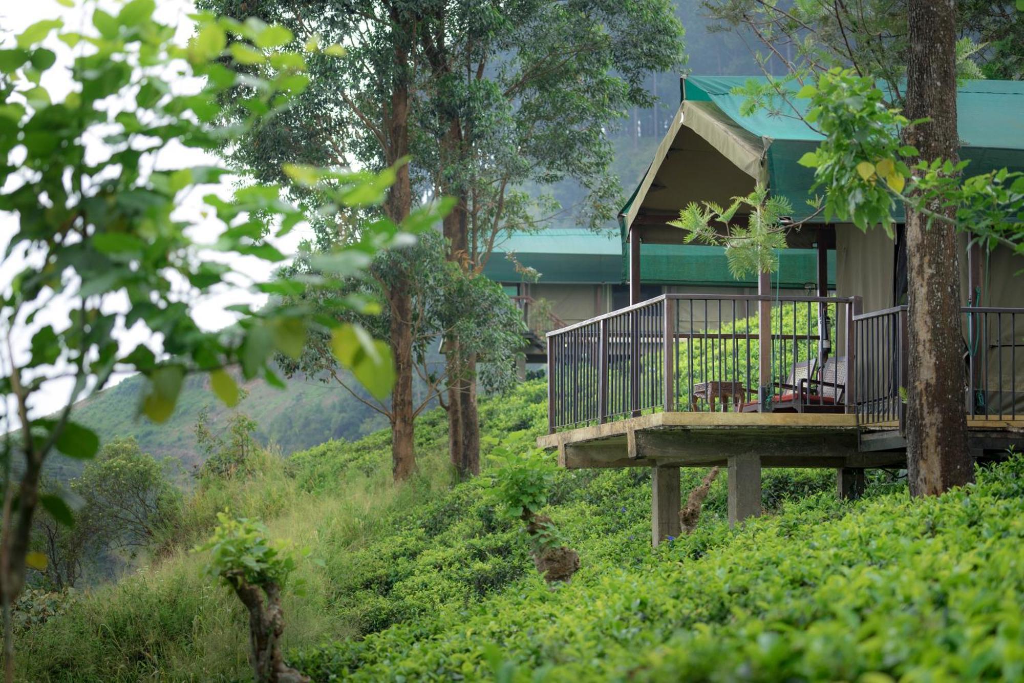 Madulkelle Tea And Eco Lodge Kandy Zewnętrze zdjęcie