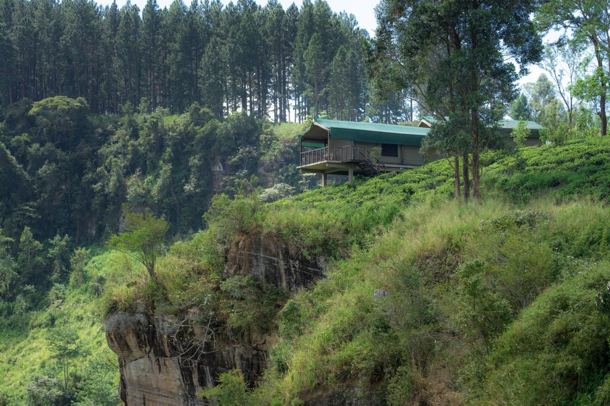 Madulkelle Tea And Eco Lodge Kandy Zewnętrze zdjęcie