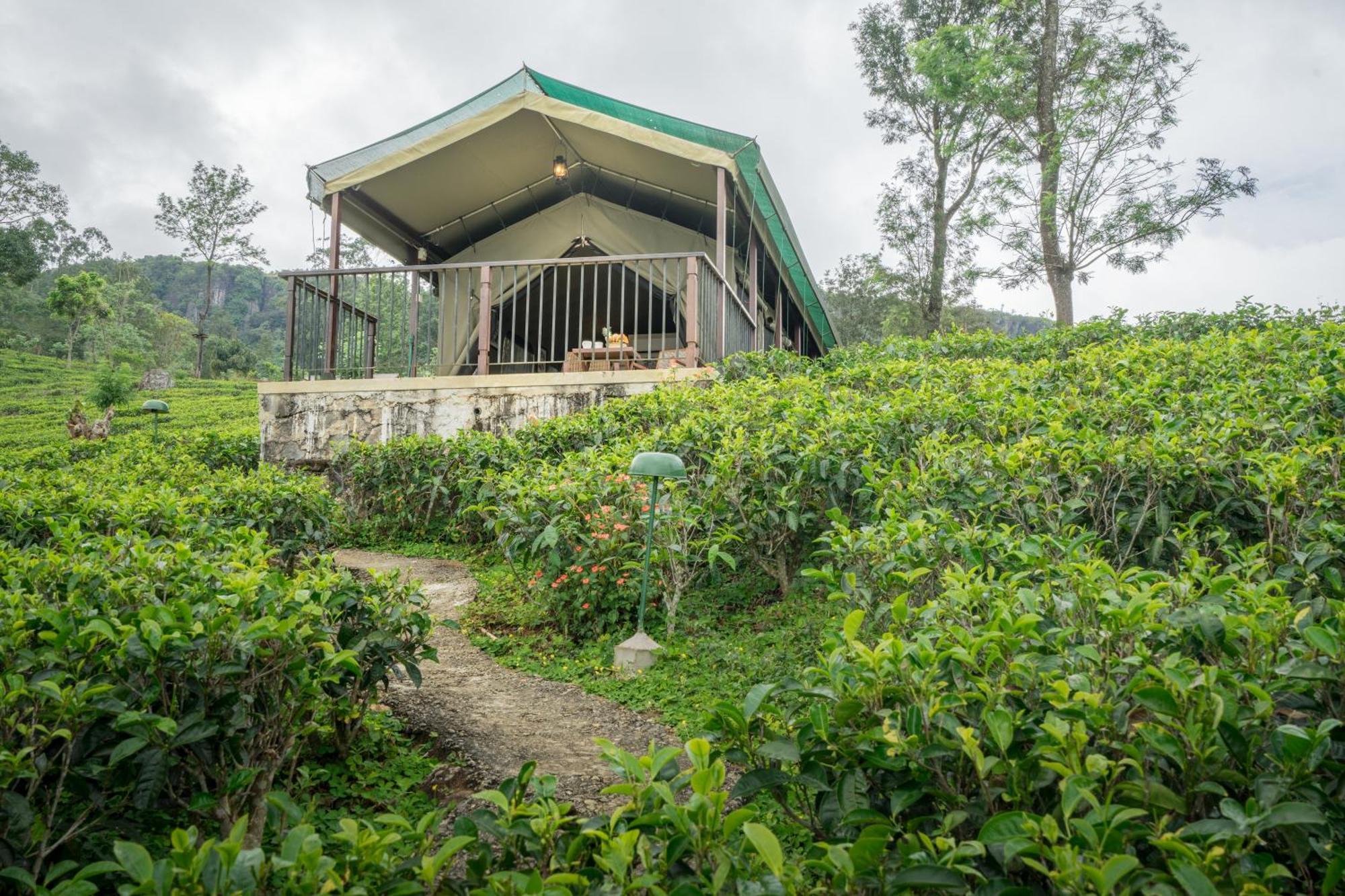Madulkelle Tea And Eco Lodge Kandy Zewnętrze zdjęcie