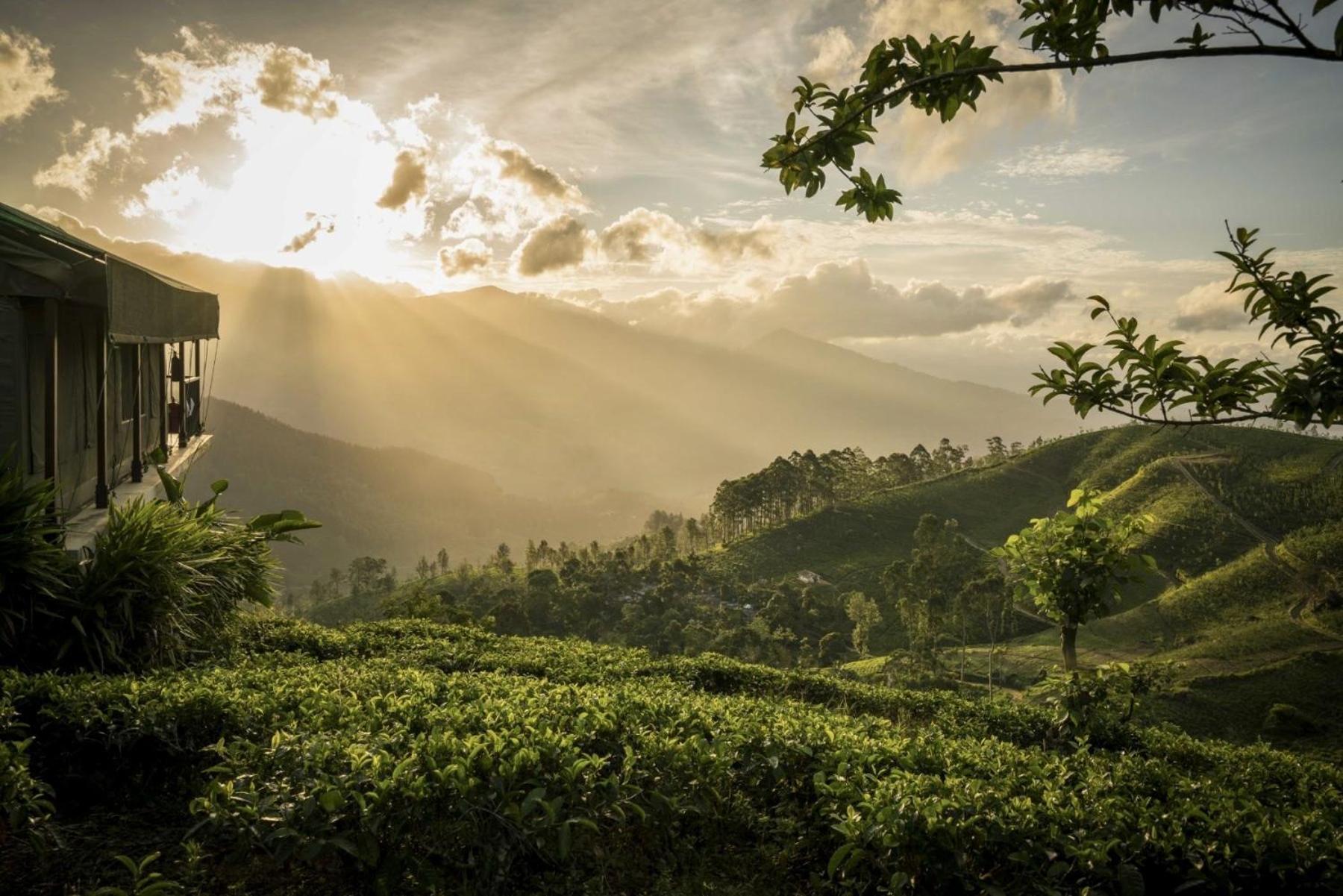 Madulkelle Tea And Eco Lodge Kandy Zewnętrze zdjęcie