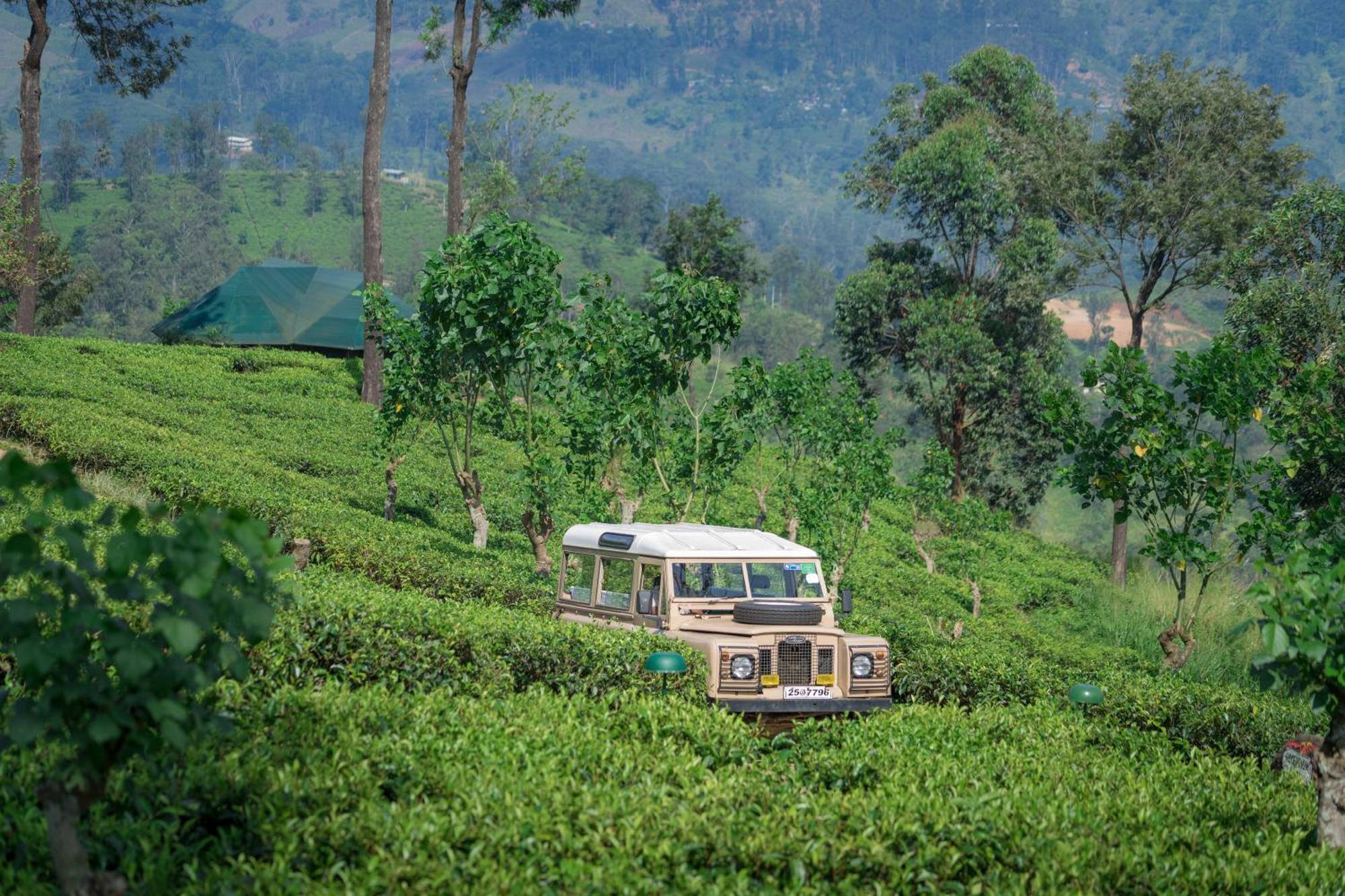 Madulkelle Tea And Eco Lodge Kandy Zewnętrze zdjęcie